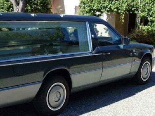 Choc a Belluno, ragazzi ubriachi alla guida di un carro funebre sfrecciano a tutta velocità