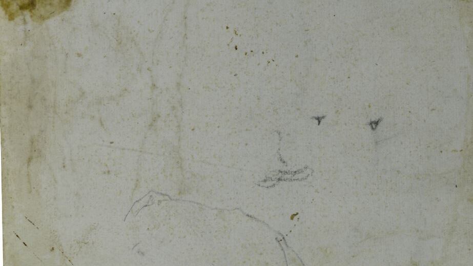 Leonardo, nuove scoperte per il "Salvator mundi"
