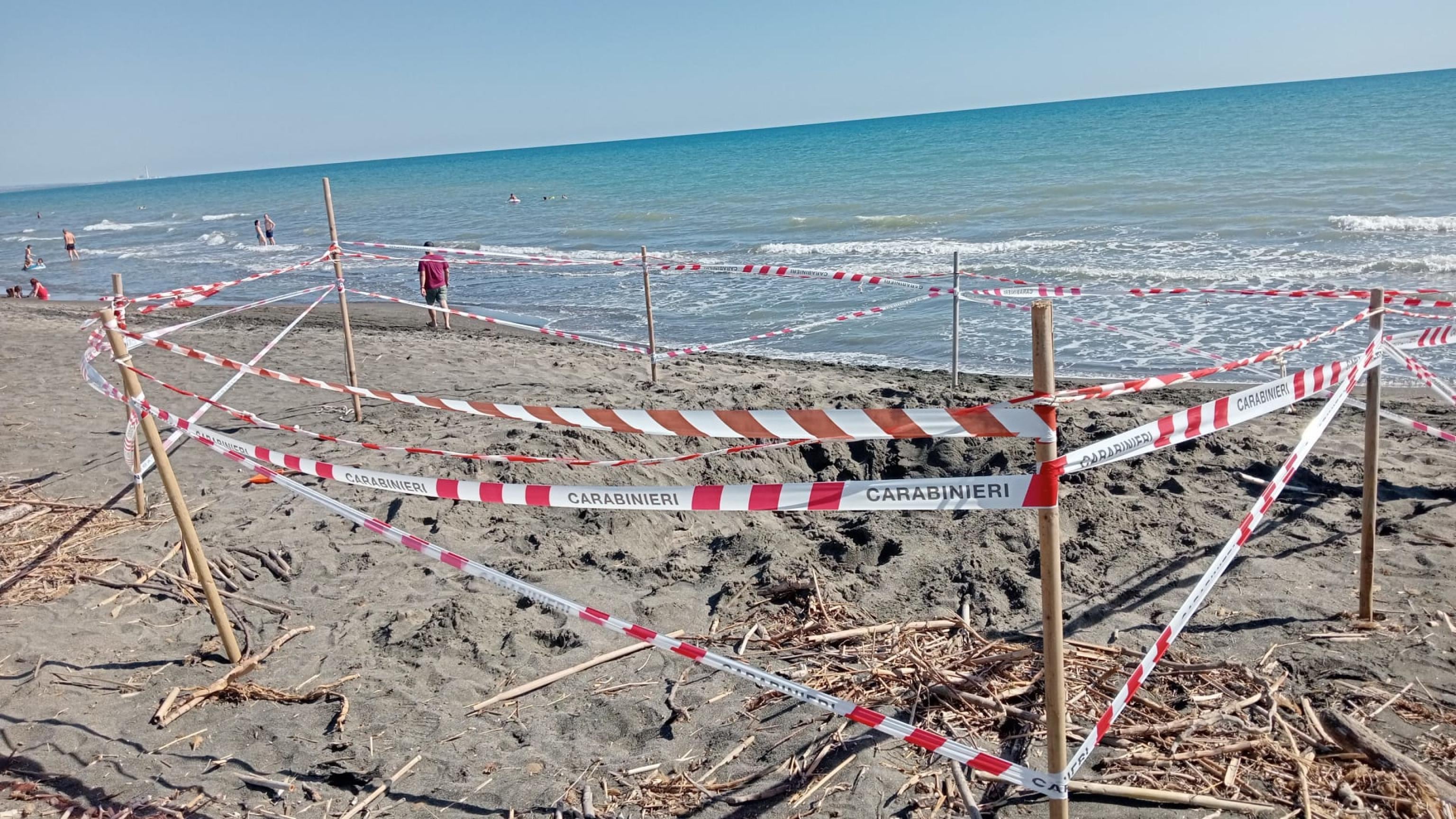 Riccardo morto sotto la sabbia Il padre indagato: "Omicidio colposo"