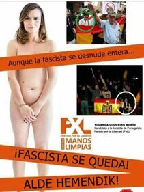 La candidata nuda sui manifesti elettorali 1