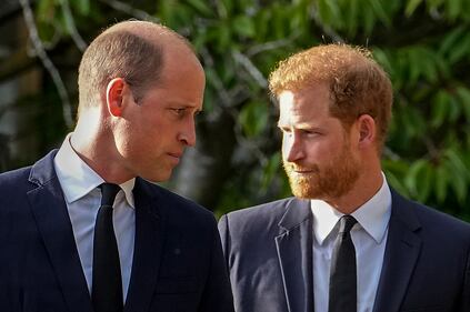 Principe William 5