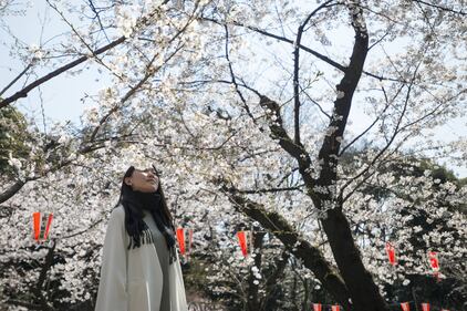 Lo spettacolo dei ciliegi in fiore a Tokyo 10