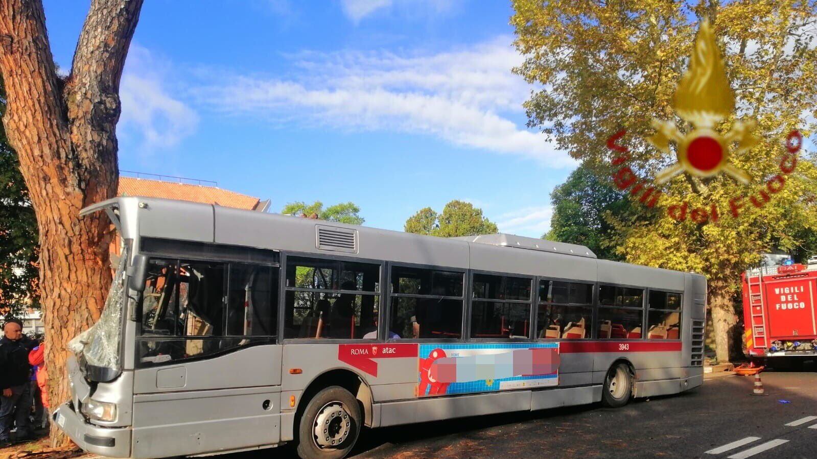 Cellulare o colpo di sonno: autobus contro un pino
