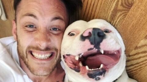 Polizia irritata da questa foto: "Aiuto, sopprimeranno il mio cane"