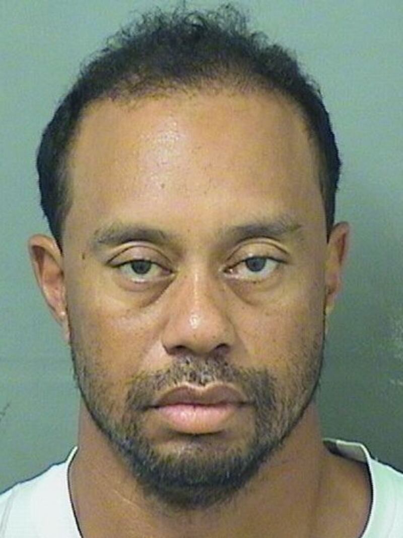 La foto rilasciata dallo sceriffo della contea di Palm Beach