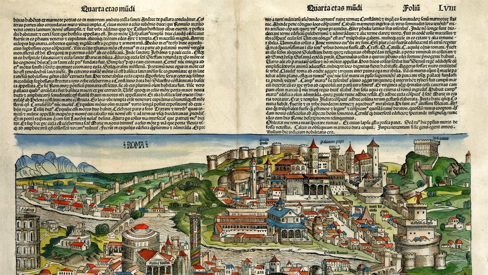Vita breve e infelice di Miss '500
