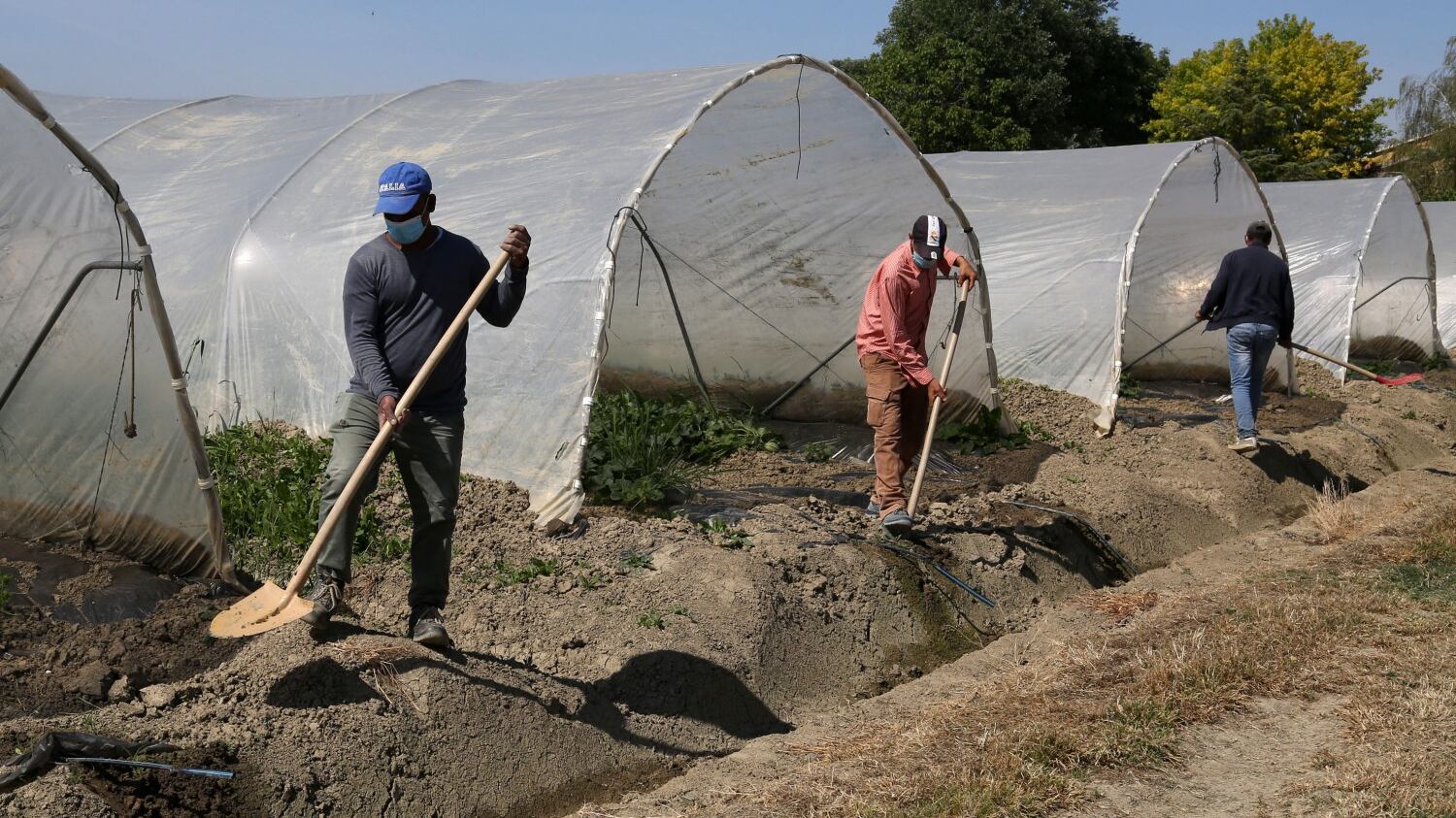 La sanatoria flop dei migranti. Il buco nell'acqua della Bellanova
