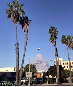 Incendi in California, ordine di evacuazione per Malibù 2