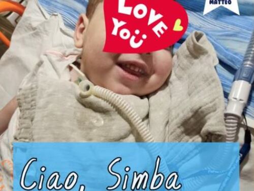 Intossicato col latte materno, Simba muore a soli tre anni
