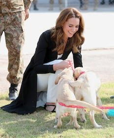 William e Kate al Centro di Addestramento per cani anti-mine 4