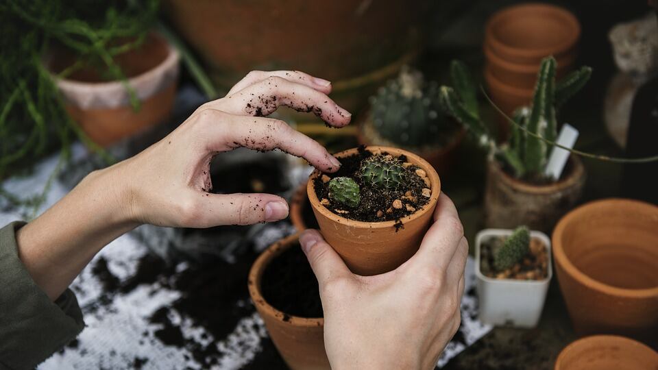 Noi "pollici neri" dal cuore verde