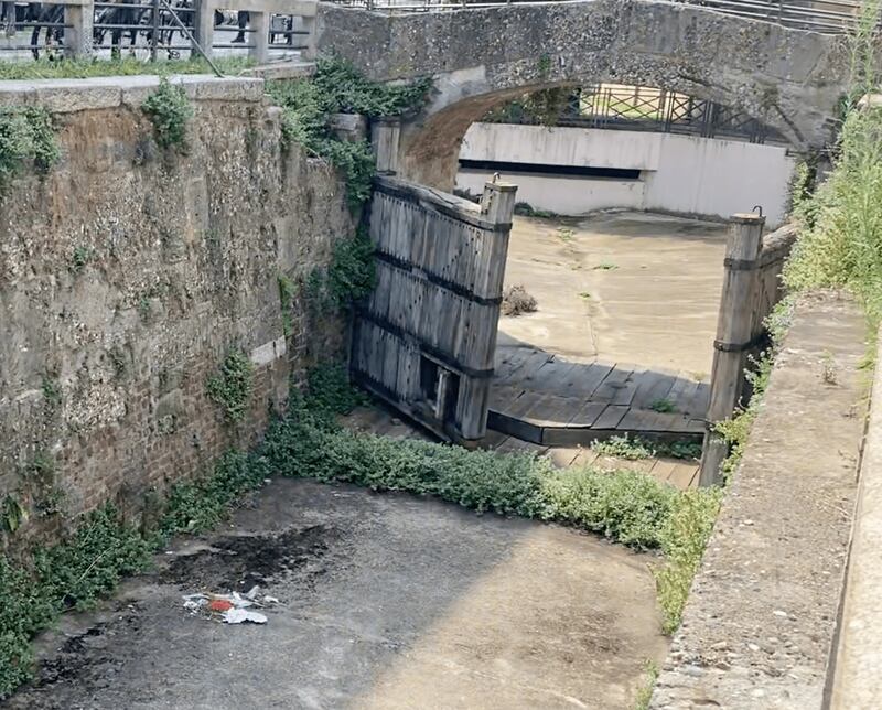 Milano, i capolavori di Leonardo nel degrado 2