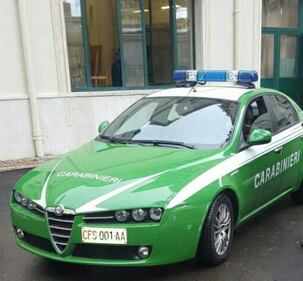 La auto "verdi" dei Carabinieri 1