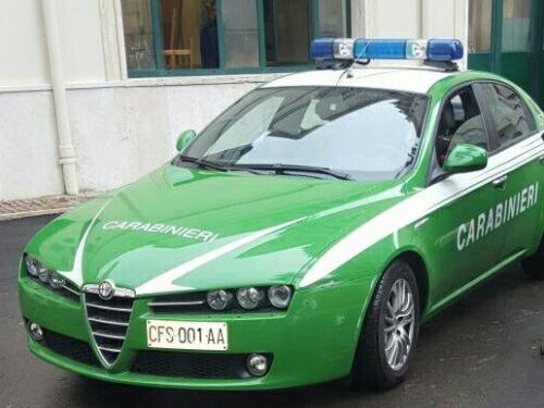 La auto "verde" dei Carabinieri