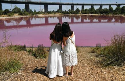 Lago australiano rosa: le foto 5