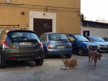 Palermo, il quartiere Borgo Vecchio 16