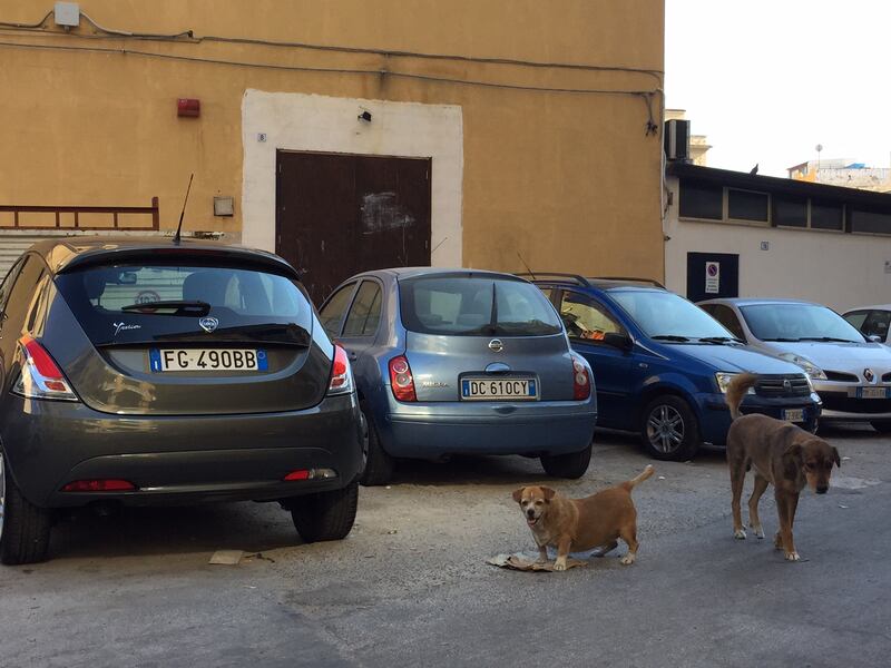 Palermo, il quartiere Borgo Vecchio 16