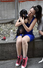 La "Sausage Walk" a Milano: sfilano i bassotti 4
