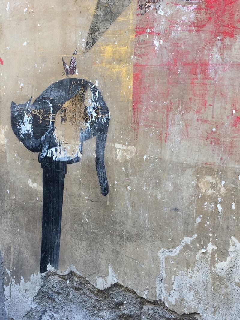 Via della Maranella, tra "gentrificazione" e degrado 10