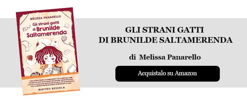 Gli strani gatti di Brunilde Saltamerenda_banner libro