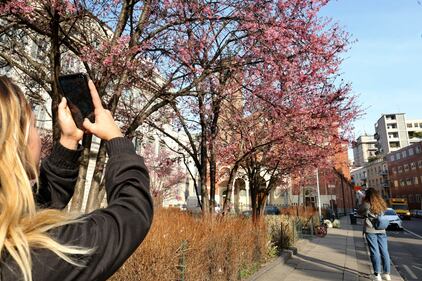A Milano è primavera in anticipo  4