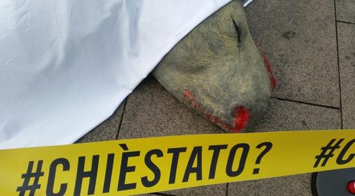 Rinoceronte morto a Milano. Chi è stato? 4