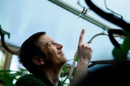Allo zoo di Londra è il giorno del censimento 11