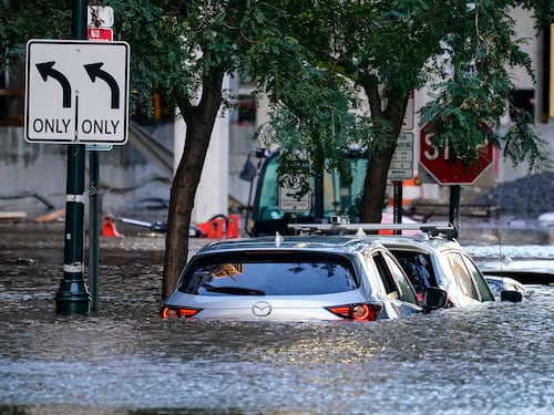 Ida paralizza New York. L'uragano fa 28 morti. E c'è un bimbo di 2 anni