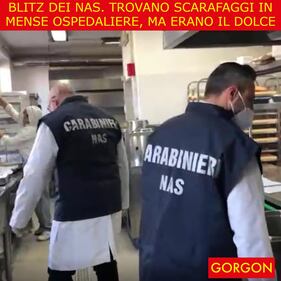 La satira del giorno. Blitz dei Nas 1