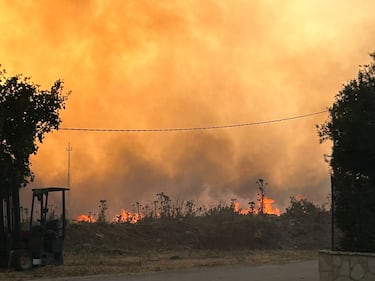 San Vito Lo Capo, le foto dell'incendio  2