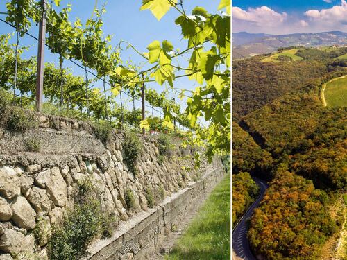 Santa Sofia, due secoli di Valpolicella