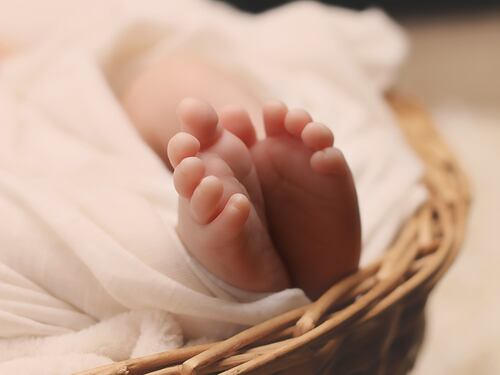Figli e coppie gay, la Consulta: "La politica scriva una legge"