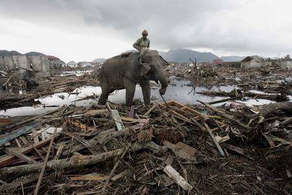 Dieci anni fa la catastrofe dello tsunami 15