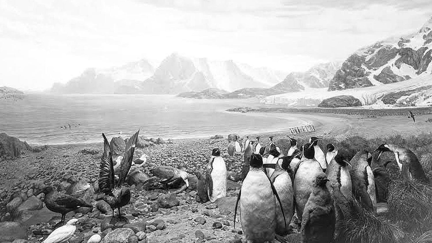 Hiroshi Sugimoto conosce i segreti per fermare il tempo