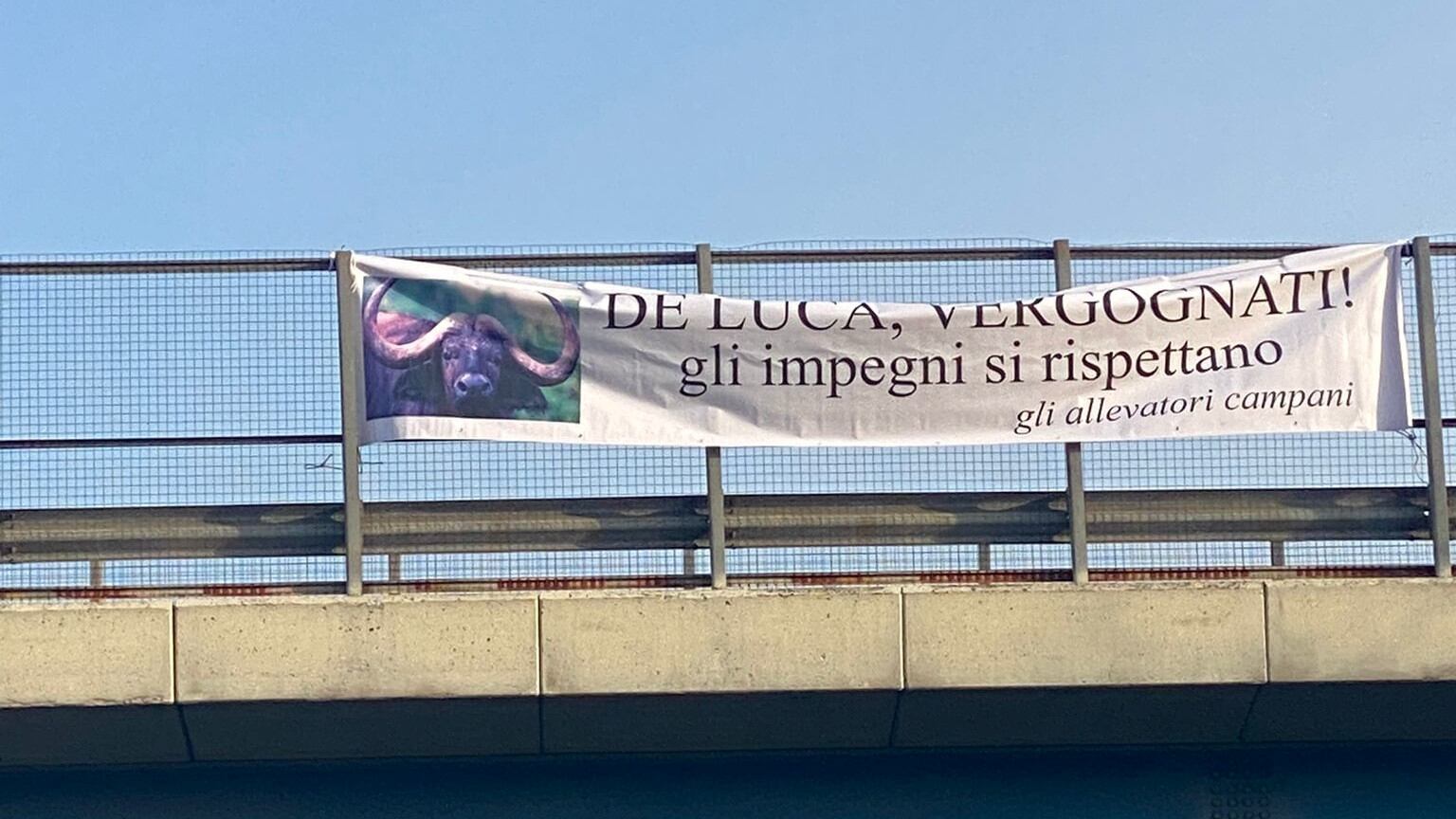 Cartelli e slogan contro il governatore De Luca: "Giù le mani dalle bufale"