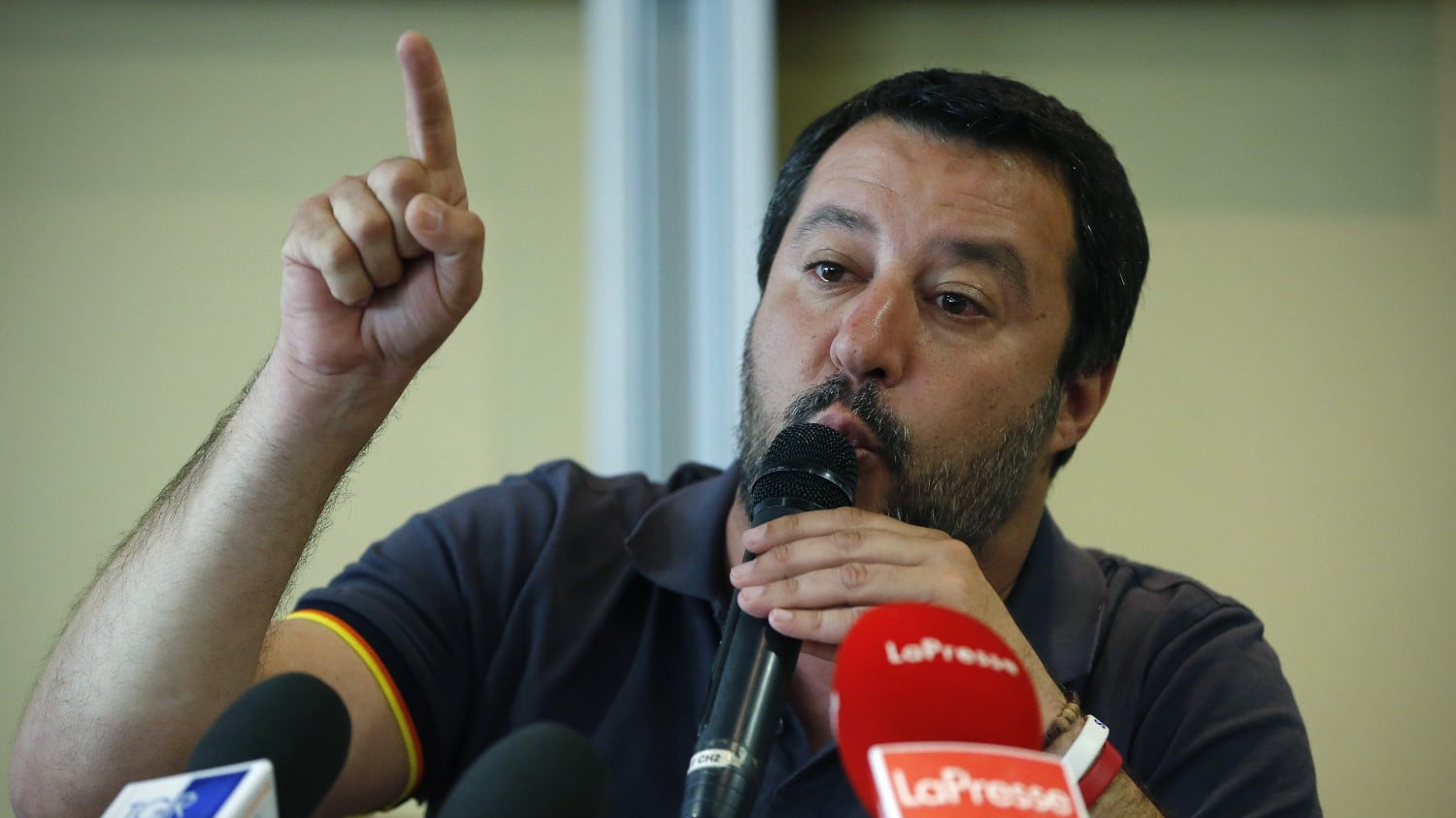 Salvini mollali