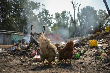 Il Parco Sud trasformato dai rom in una discarica 1