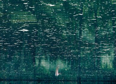 "Il mare di nebbia", la mostra fotografica di Axel Hutte 8