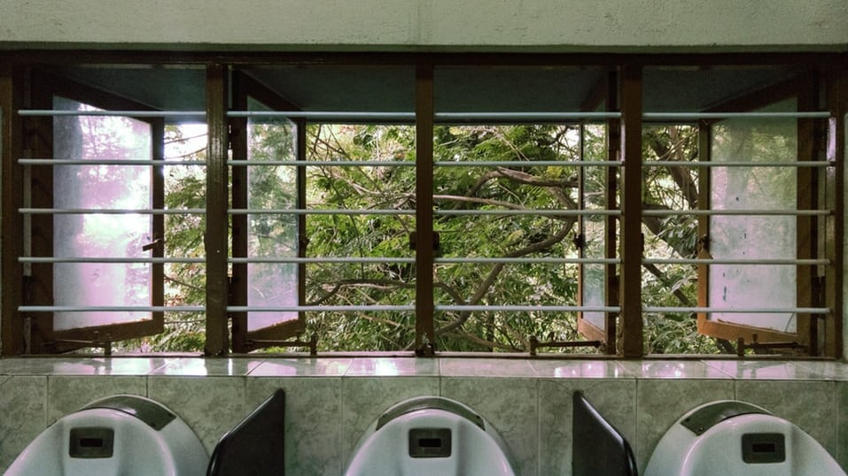 In Galles arrivano i bagni pubblici anti sesso