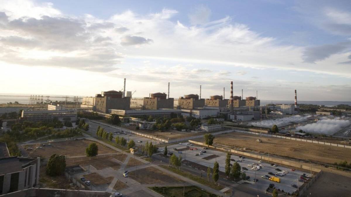 Corsa allo iodio per il terrore nucleare. Gli esperti: "No al fai da te"