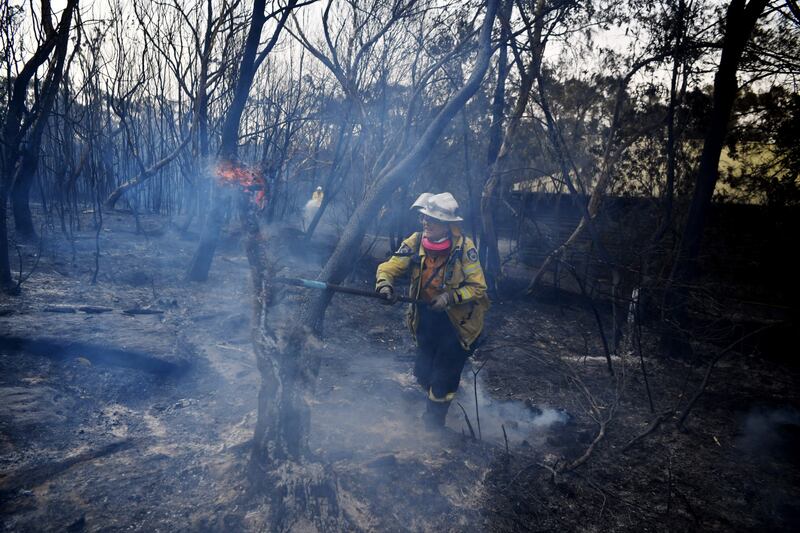 L'Australia minacciata dagli incendi: è emergenza 11