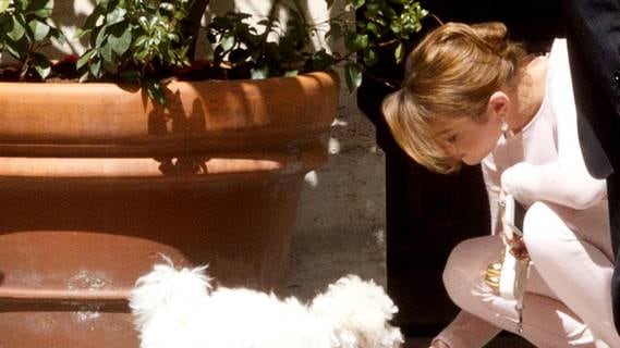 Dai Verdi agli animalisti, tutti difendono Dudù Grillo costretto a scusarsi