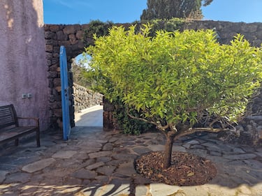 Mare, vigneti e tradizioni: il tesoro di Pantelleria 10
