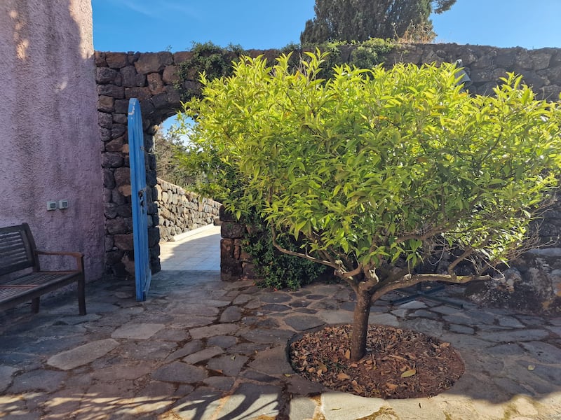 Mare, vigneti e tradizioni: il tesoro di Pantelleria 10