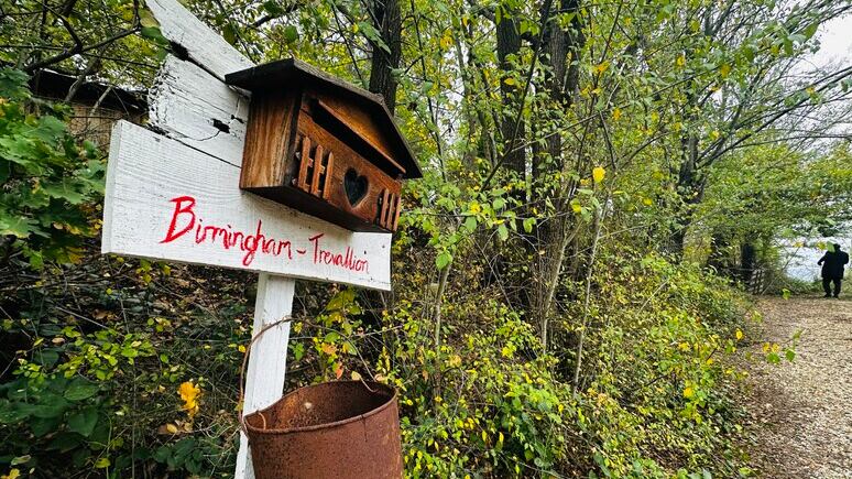 Il ritorno nel bosco: il piano dei genitori per riavere i figli e ricostruire una vita "off-grid"