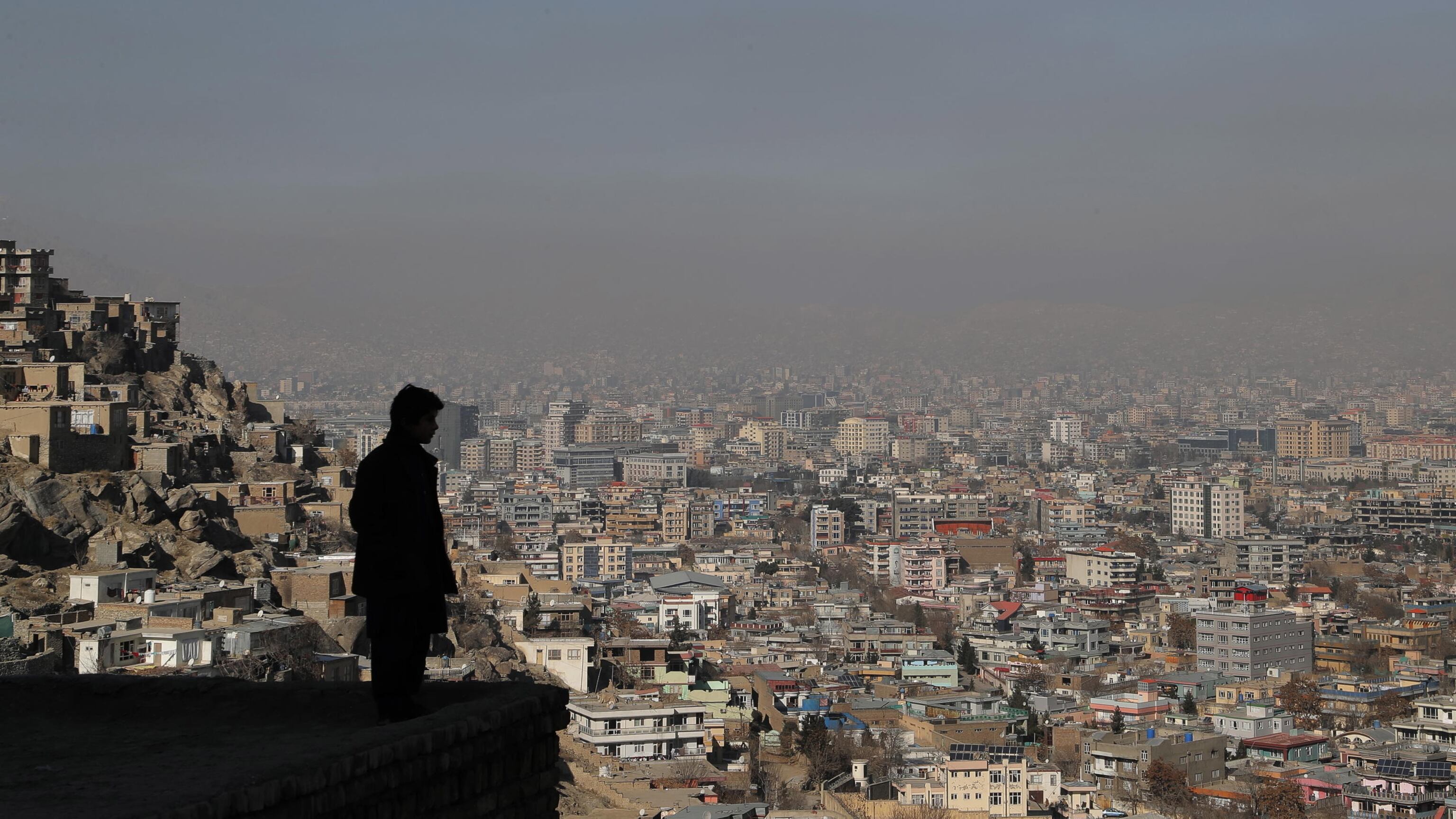 La guerra segreta della Cia in Afghanistan: semi “modificati” per sabotare l’oppio