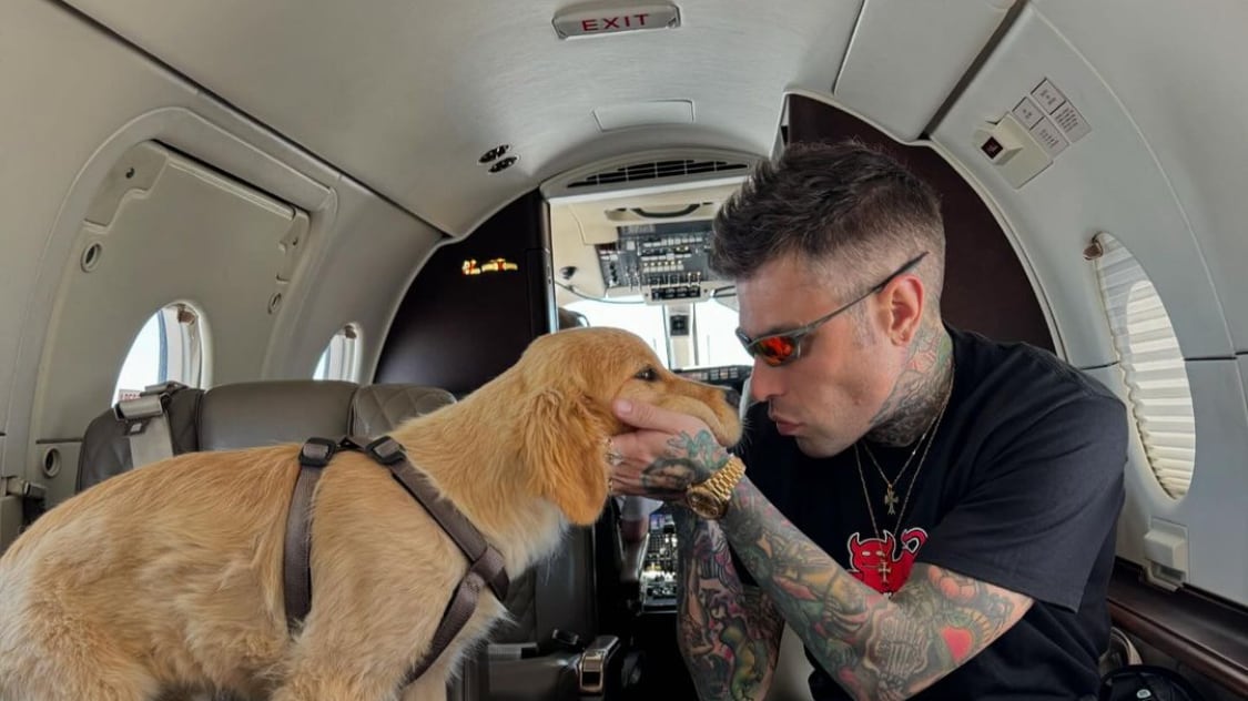 Fedez e i cani che diventano oggetti da esposizione