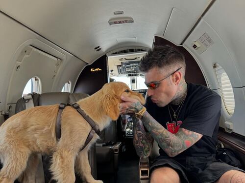 Fedez e i cani che diventano oggetti da esposizione
