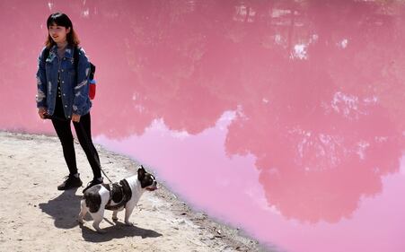 Lago australiano rosa: le foto 2