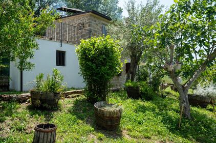 Le foto della casa offerta alla famiglia nel bosco 5